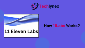 11 Labs